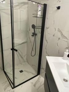 a shower with a glass door next to a sink at Sima Suite 2 in Ashdod