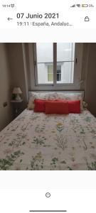 Schlafzimmer mit einem Bett mit einer Bettdecke und einem Fenster in der Unterkunft Málaga Centro in Málaga + 23 Fotos