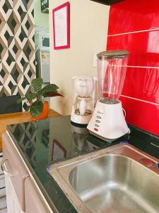 a kitchen counter with a blender next to a sink at Calido Y Confortable in Santo Domingo