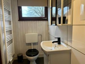 a small bathroom with a toilet and a sink at Nurdachhäuschen Blaue Nordseewelle in Carolinensiel