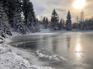 Príroda v okolí apartmánu