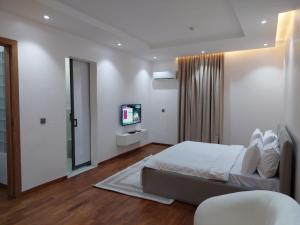 een slaapkamer met een bed en een flatscreen-tv bij Harbor Pond Apartments 2 in Lagos