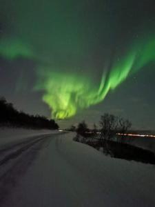 an image of the aurora in the sky over a road at Aurora rooms for rent nr3 we are doing Northen Lights trip, Reaindear trip and Sommaroy Fjord trips in Tromsø