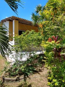 Κήπος έξω από το Refúgio sossego (casa de campo) +14 φωτογραφίες