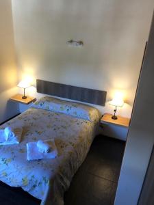 1 dormitorio con 1 cama y 2 lámparas en 2 mesas en Departamento San Martin de los Andes Zona Centro en San Martín de los Andes