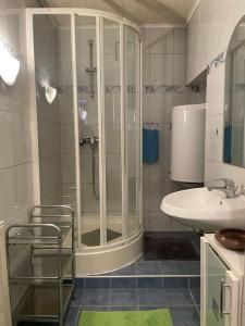 uma casa de banho com um chuveiro e um lavatório. em Cheap Outlet Center Apartment with Pool em Parndorf