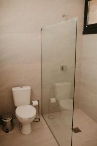a bathroom with a toilet and a glass shower at Casas na montanha - Villa Montegrappa in Caxias do Sul