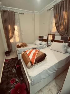 2 aparte bedden in een kamer met 2 ramen bij Sunrise shiny Nubian Guest House in Aswan