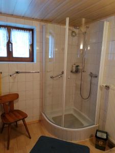 een badkamer met een douche en een bad bij Haus Spertental in Kirchberg in Tirol