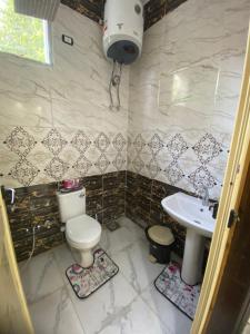 アスワンにあるSunrise shiny Nubian Guest Houseのバスルーム(トイレ、洗面台付)