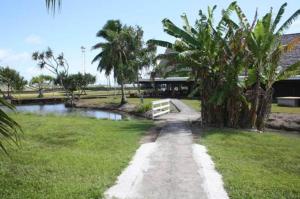 un chemin menant à une maison avec un étang dans l'établissement Raiatea Airport Bungalow, à Uturoa