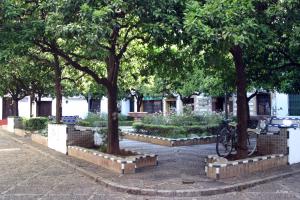 A garden outside Hotel Doña Lina