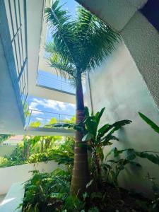 1 bedroom apt with pool in Simpson Bay外面的花园