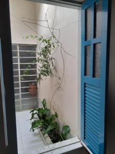 a window with a blue shutter and some plants at Casa de Lençóis in Lençóis