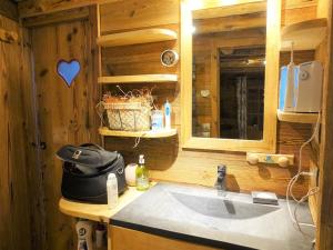 a bathroom with a sink in a wooden cabin at Chalet Arêches-Beaufort, 3 pièces, 4 personnes - FR-1-342-220 in Beaufort
