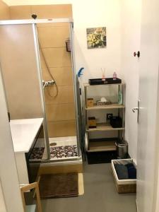 a small bathroom with a shower with a mirror at Klimatisierte Sehr Zentrale Wohnung-Loftstyle- in Vienna