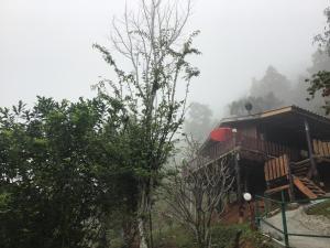 a house on a hill in the fog at Forest Guesthouse in Samoeng
