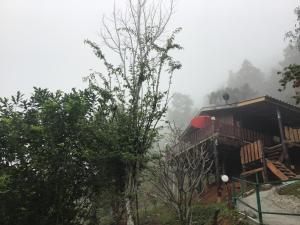 a house on a hill in the fog at Forest Guesthouse in Samoeng