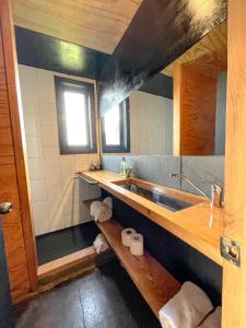 a bathroom with a sink and a mirror at El Coo Lodge in Queilén