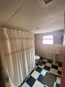 a bathroom with a shower curtain and a toilet at Mi casa chilota in Ancud