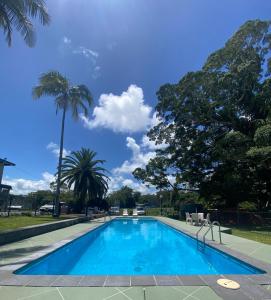 een zwembad met palmbomen en een blauwe lucht bij Bellinger River Tourist Park in Repton