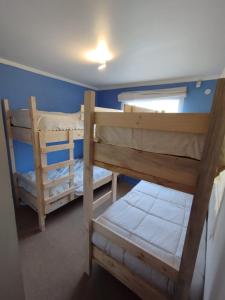 two bunk beds in a room with blue walls at Casa de la Ribera Pelantaro in Valdivia