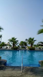 una piscina con palmeras en el fondo en Mayan Vidanta PLAYA departamento REMODELADO 2 y 3 recámaras, en Acapulco