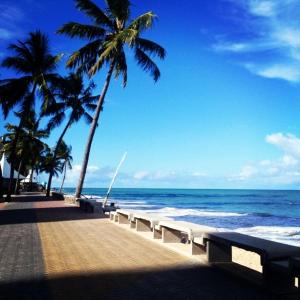 a beach with benches and palm trees and the ocean at BOA VIAGEM FLAT 106 in Recife