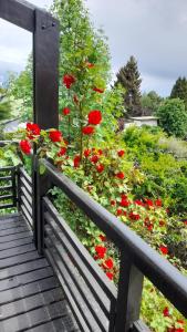 een tuin met rode bloemen en een houten hek bij Gross Guest House in Bariloche