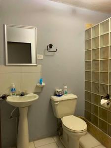 a bathroom with a toilet and a sink and a mirror at Bonefish Hotel in Dangriga