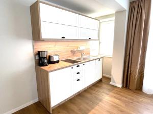 a kitchen with a sink and a counter at Baltic Lagoon Resort - Appartement 12 in Fuhlendorf