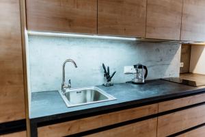 un bancone della cucina con lavandino e frullatore di Apartmány Jabloneček a Jablonec nad Jizerou