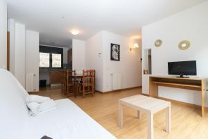 TV a/nebo společenská místnost v ubytování Apartamentos Canillo 3000