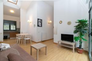 TV a/nebo společenská místnost v ubytování Apartamentos Canillo 3000