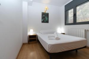 Postel nebo postele na pokoji v ubytování Apartamentos Canillo 3000