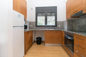 Kuchyň nebo kuchyňský kout v ubytování Apartamentos Canillo 3000