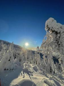 MALINOWA OSADA durante l'inverno