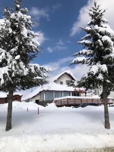 duas árvores na neve em frente a uma casa em Red Family Apartments em Păltiniş