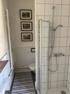 uma casa de banho com um chuveiro e um WC. em Ferienwohnung Gutshaus Granzow - Im Gutshaus wohnen 