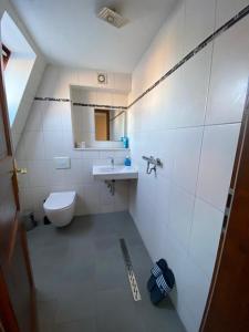 uma casa de banho com um lavatório, um WC e um espelho. em Zimmervermietung Abir em Dresden