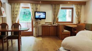 TV a/nebo společenská místnost v ubytování Hotel Zebru