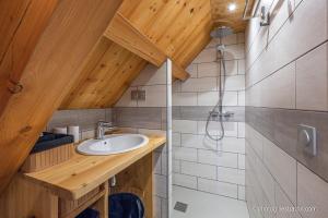 a bathroom with a sink and a shower at Le Refuge Ibex - Chalet d'Alpage au coeur de la nature - 8 personnes in Orcières