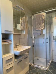 a bathroom with a sink and a shower at Feriendorf am Hohen Bogen Arrach Haus 69 in Arrach