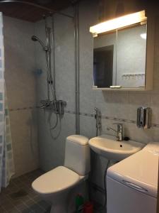 a bathroom with a toilet and a sink and a shower at Outapailakka K19 in Saariselka