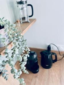 a plant in a vase next to a blender at Maison à l'orée du bois du Kador in Crozon
