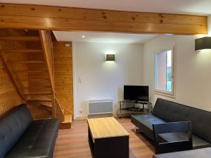 a living room with a couch and a television at Chalet Gentiane in Gérardmer