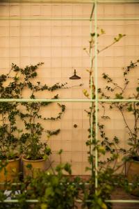 una pared de azulejos con plantas y una luz en ella en BOS*COS APARTMENTS, en Sevilla