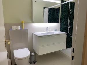 Vannituba majutusasutuses Minusio-Locarno: Navengana Apt.4
