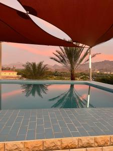 a pool with an umbrella and a reflection in the water at Peace Farm in Hatta