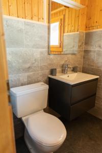 La salle de bains est pourvue de toilettes, d'un lavabo et d'un miroir. dans l'établissement Ferienwohnung im Chalet am Bach, à Schwarzsee